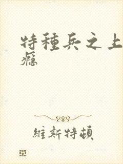 特种兵之上你成瘾封面