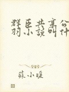 群臣共享公主银羽小说叫什么