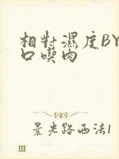 相对湿度BY大口吃肉