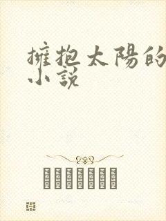 拥抱太阳的月亮小说