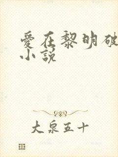 爱在黎明破晓前小说