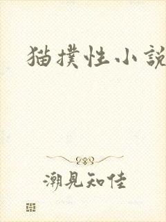 猫扑性小说