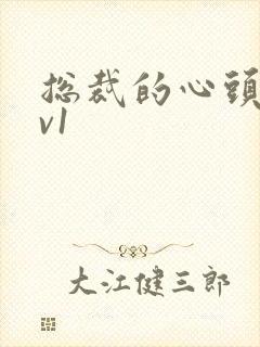 总裁的心头宝1v1