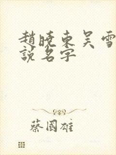 赵晓东吴雪晴小说名字封面