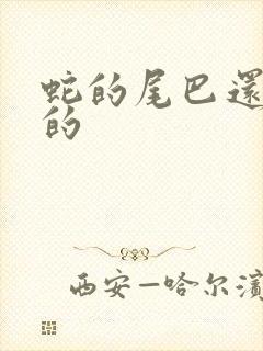 蛇的尾巴还在我的