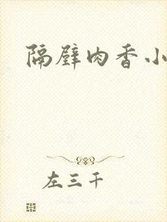 隔壁肉香小说