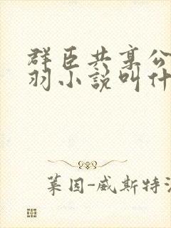 群臣共享公主银羽小说叫什么