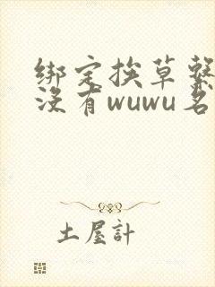 绑定挨草系统后没有wuwu名字封面