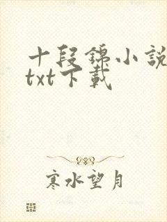 十段锦小说全本txt下载封面