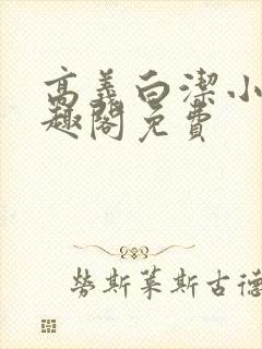 高义白洁小说笔趣阁免费