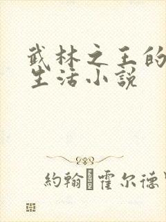 武林之王的退隐生活小说封面