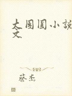 大团圆小说集全文