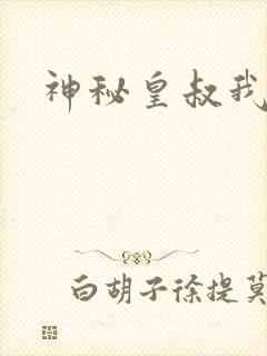 神秘皇叔我要了封面