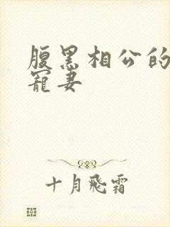 腹黑相公的庶女宠妻