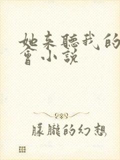 她来听我的演唱会小说