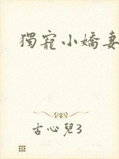 独宠小娇妻