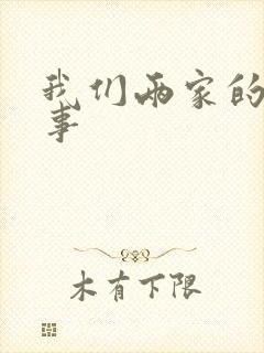 我们两家的荒唐事