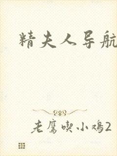 精夫人导航封面