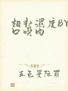 相对湿度BY大口吃肉