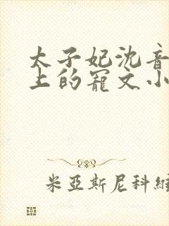 太子妃沈音和皇上的宠文小说