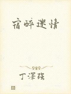 宿醉迷情封面