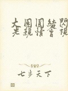 大团圆结闪闪发光亲情会视频