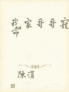 我家哥哥宠妹如命