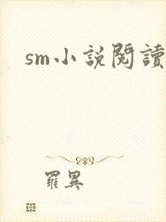 sm小说阅读封面