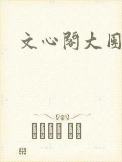 文心阁大团结封面
