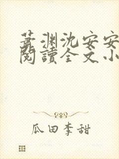 萧渊沈安安免费阅读全文小说