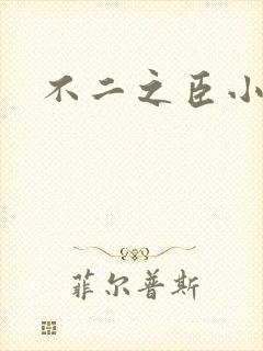 不二之臣小说