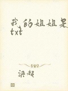 我的姐姐是美女txt