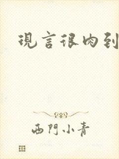 现言很肉到处做