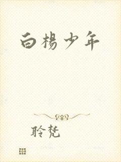 白杨少年