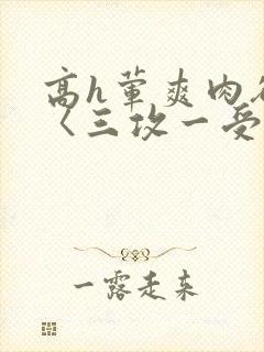 高h荤爽肉欲文〈三攻一受
