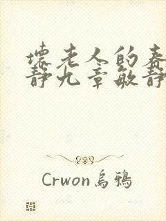 坏老人的春天敏静九章敏静封面