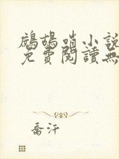 鹧鸪哨小说网站免费阅读无弹窗