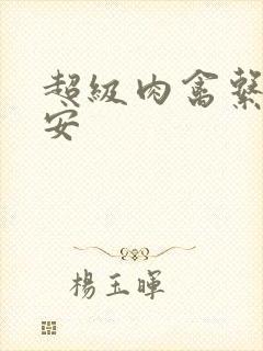 超级肉禽系统保安封面