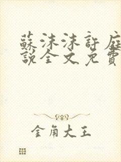 苏沫沫许庭川小说全文免费阅读