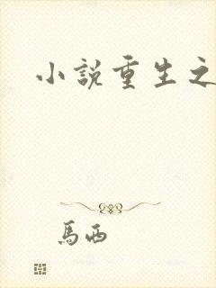 小说重生之官道