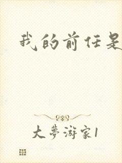 我的前任是极品