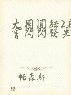 大团圆结2亲情会闪闪发光亲情会封面