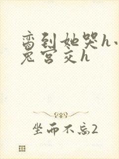 脔到她哭h小白兔宫交h封面