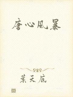 唐心风暴