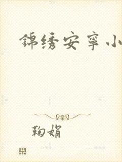 锦绣安宁小说