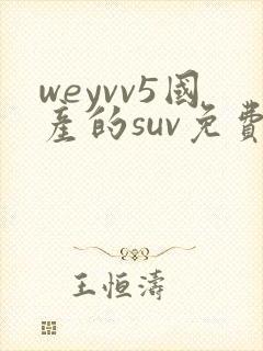 weyvv5国产的suv免费