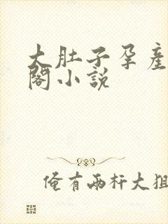 大肚子孕产笔趣阁小说