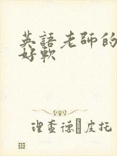英语老师的兔子好软