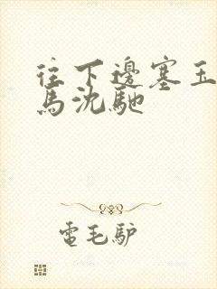 往下边塞玉器骑马沈驰封面