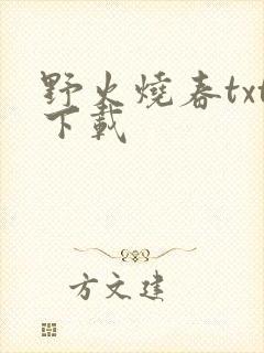 野火烧春txt下载